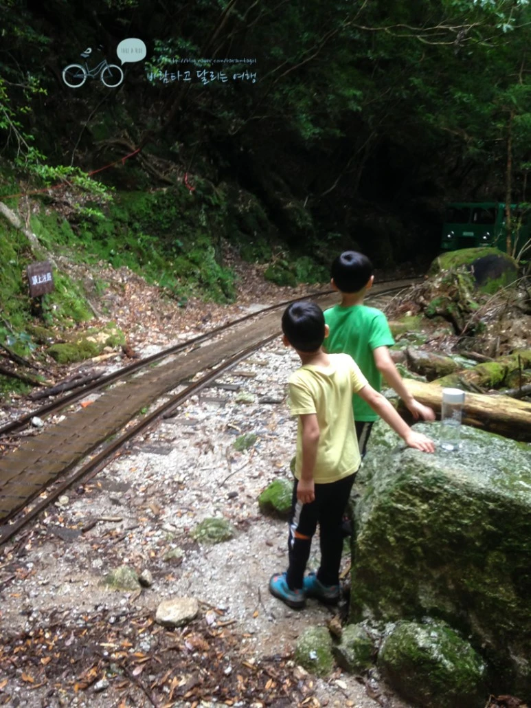 IMG_1294_wide1080.jpg?type=w773