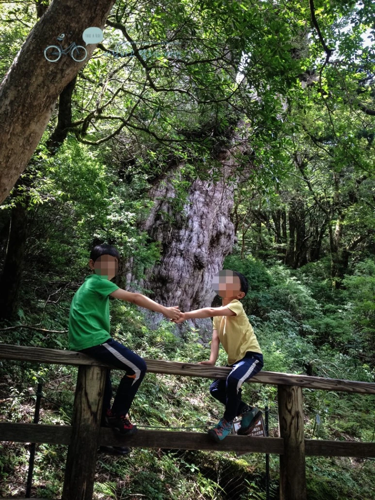 image_2686553491486451390783.jpg?type=w773