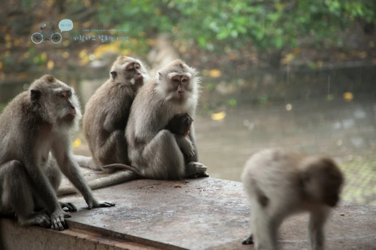 IMG_0223_Wide1080mark%EB%B0%94%EB%9E%8C%ED%83%80%EA%B3%A0-2.jpg?type=w773