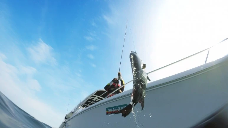 %EB%82%9A%EC%8B%9C_%EC%98%88%EC%8B%9C.jpg?type=w773