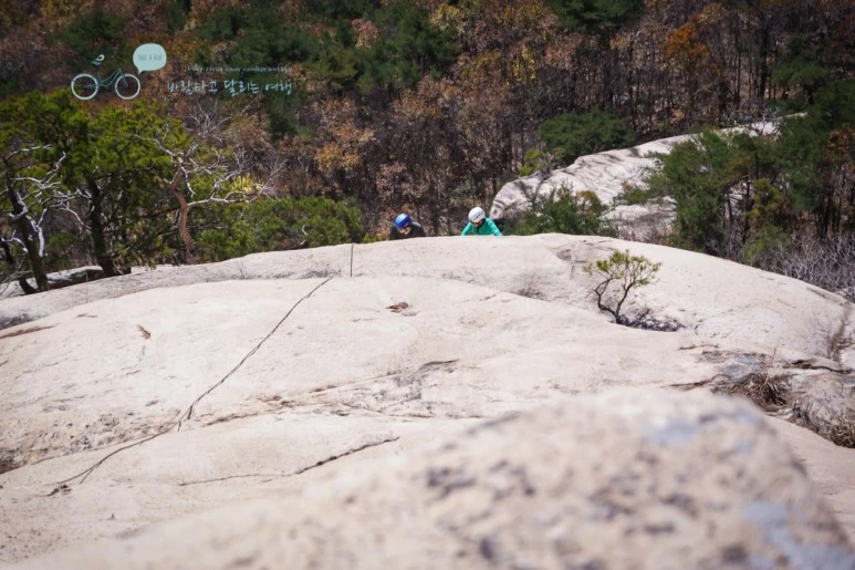 DSC05974_wide1080mark.jpg?type=w773