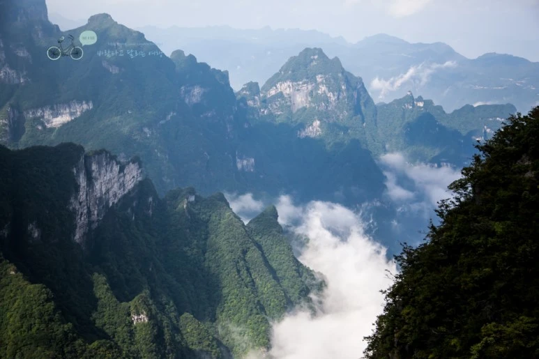 IMG_0185_Wide1080mark%EB%B0%94%EB%9E%8C.jpg?type=w773