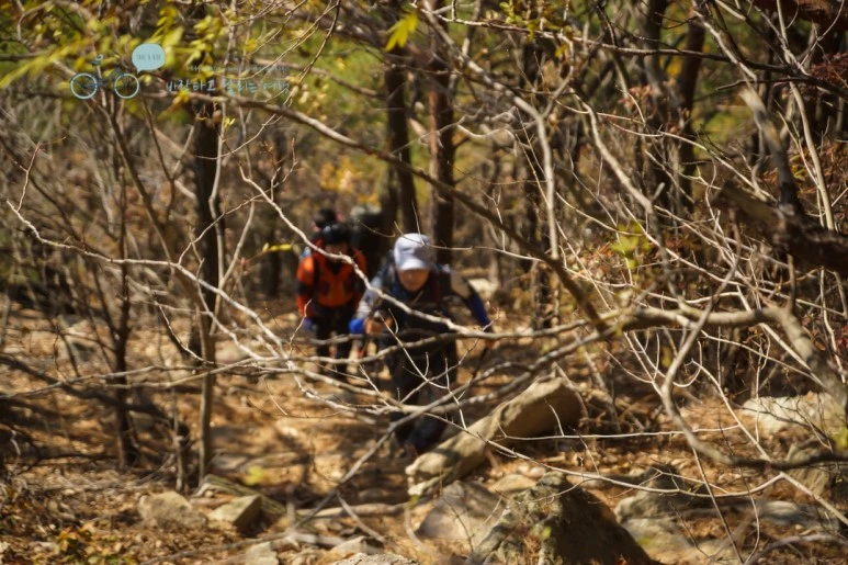 DSC05863_wide1080mark.jpg?type=w773