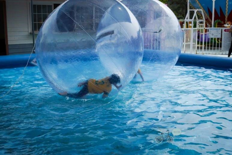 DSC00903_wide1080mark.jpg?type=w773