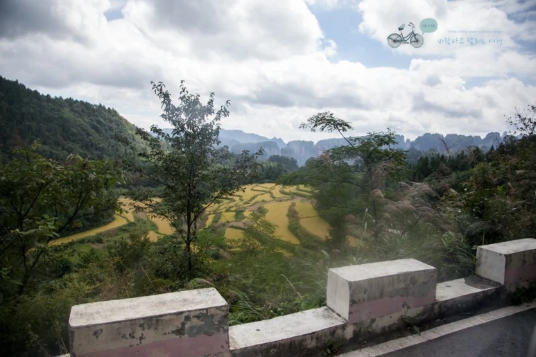 IMG_1236_Wide1080mark%EB%B0%94%EB%9E%8C.jpg?type=w773