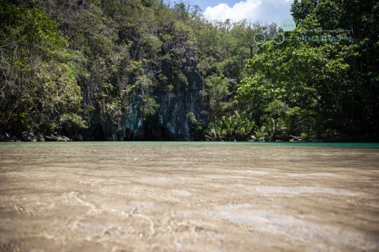 IMG_2083_Wide1080mark%EB%B0%94%EB%9E%8C%ED%83%80%EA%B3%A0.jpg?type=w773