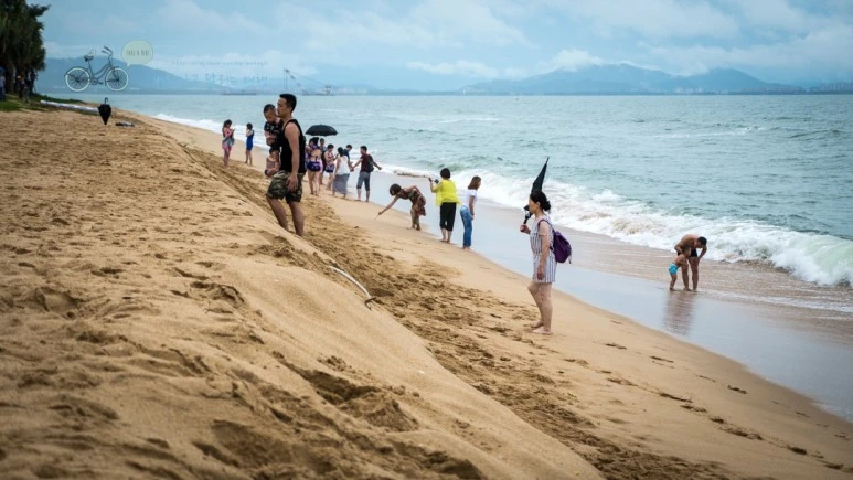 _1010024_wide1080_Wide1080mark_%EB%B0%94%EB%9E%8C.jpg?type=w773