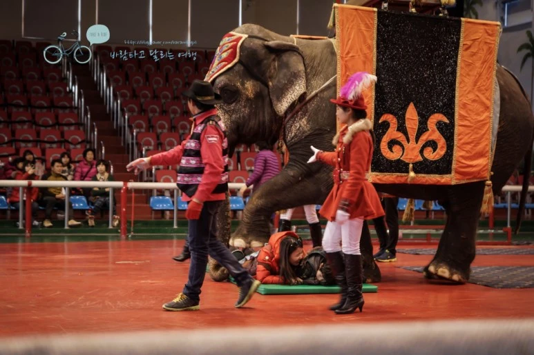 DSC00202_5.jpg?type=w773