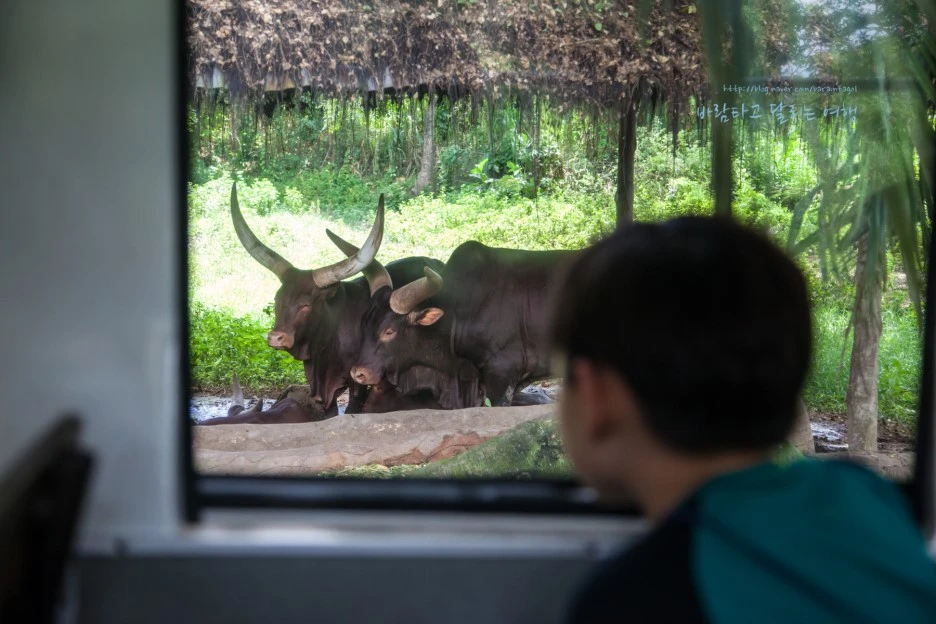 5D_IMG_2720_Short1200mark%EB%B0%94%EB%9E%8C.jpg?type=w1