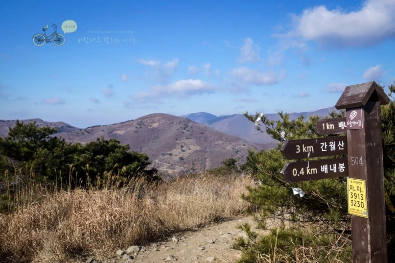 DSC04441_wide1080mark.jpg?type=w773