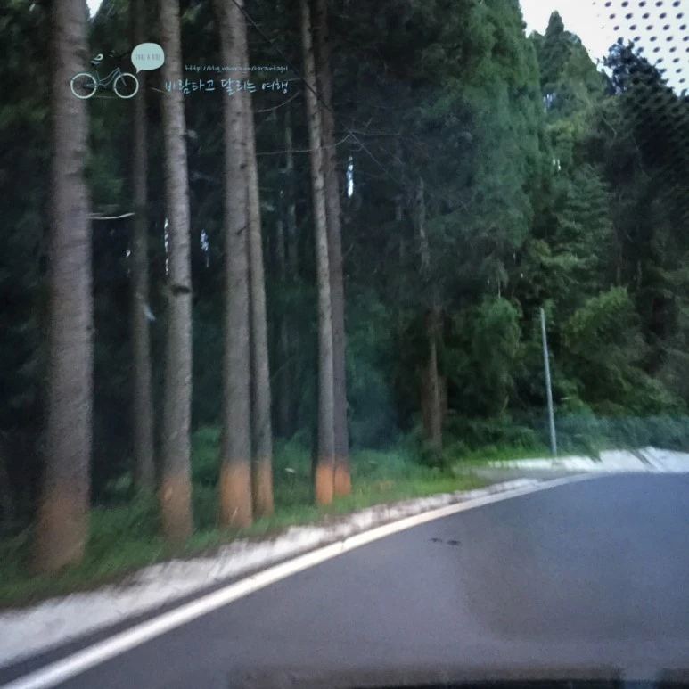 IMG_0007_wide1080mark.jpg?type=w773