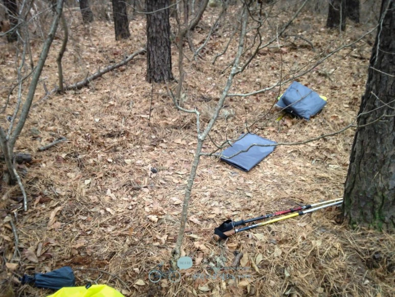 IMG_1434-_Wide1080mark.jpg?type=w773