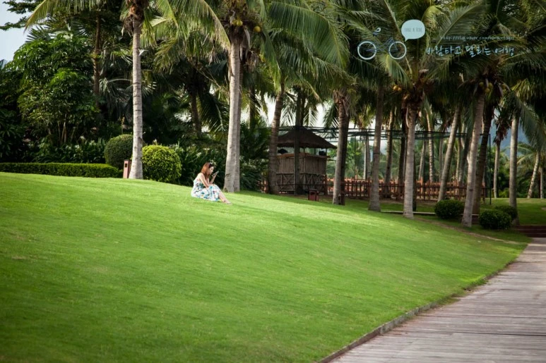 IMG_1880_wide1080%EB%B0%94%EB%9E%8Cmark.jpg?type=w773