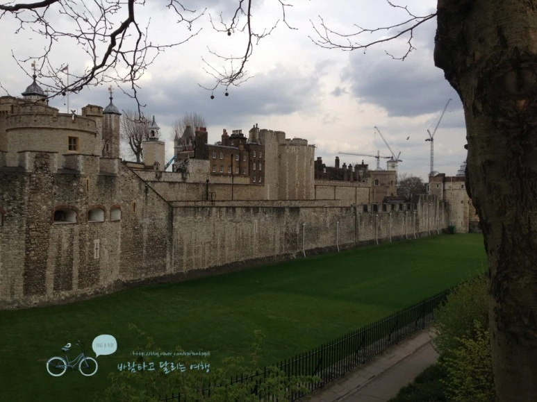 IMG_1751.jpg?type=w773