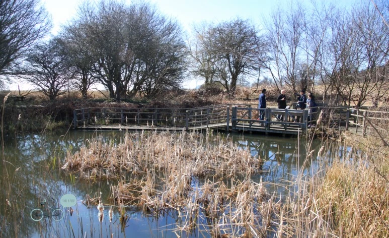 IMG_3655.jpg?type=w773