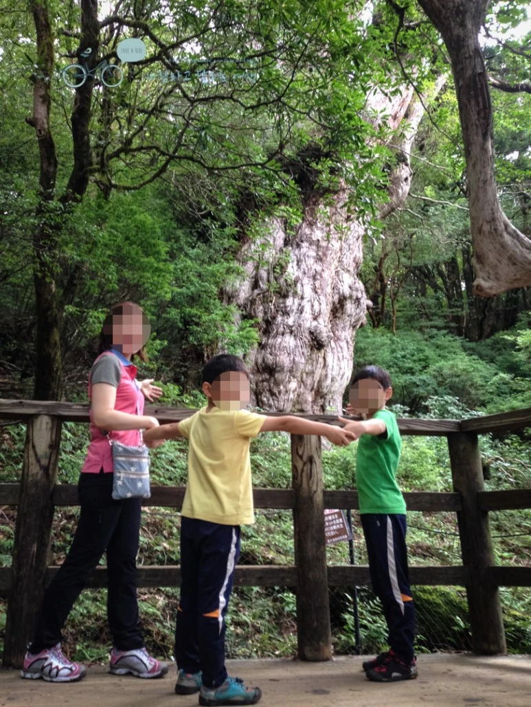 image_5124270281486451390783.jpg?type=w773