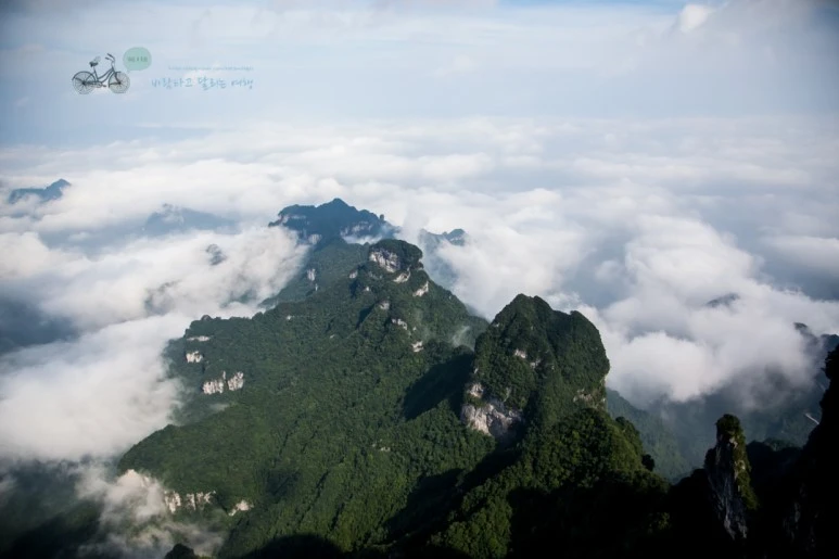 IMG_0142_Wide1080mark%EB%B0%94%EB%9E%8C.jpg?type=w773