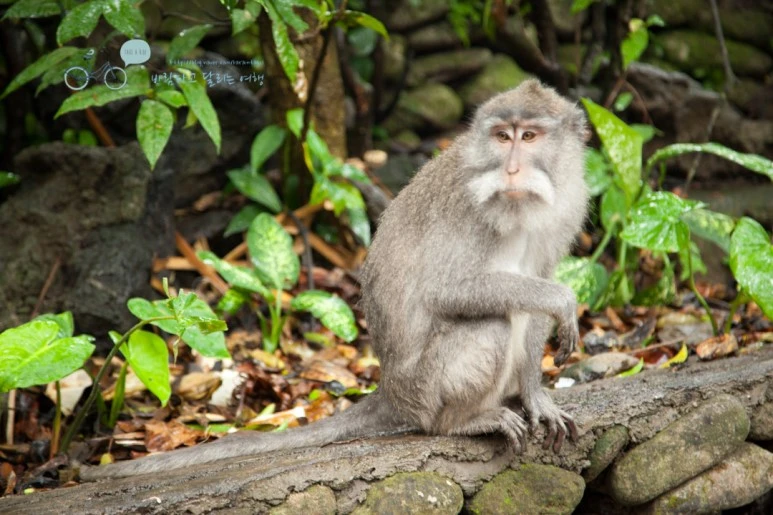 IMG_0095_Wide1080mark%EB%B0%94%EB%9E%8C%ED%83%80%EA%B3%A0-2.jpg?type=w773