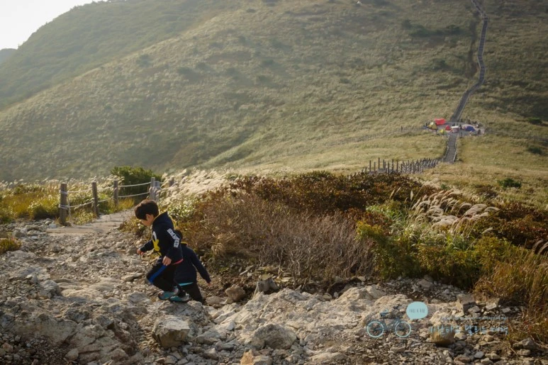 DSC04579_wide1080mark.jpg?type=w773