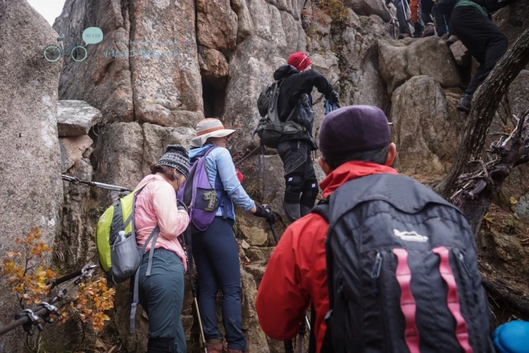 DSC05412_wide1080mark.jpg?type=w773