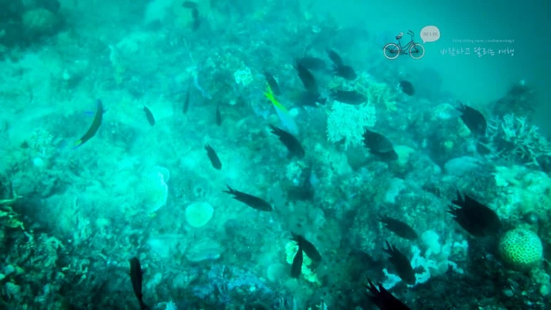 IMG_08_Wide1080mark%EB%B0%94%EB%9E%8C%ED%83%80%EA%B3%A0.jpg?type=w773