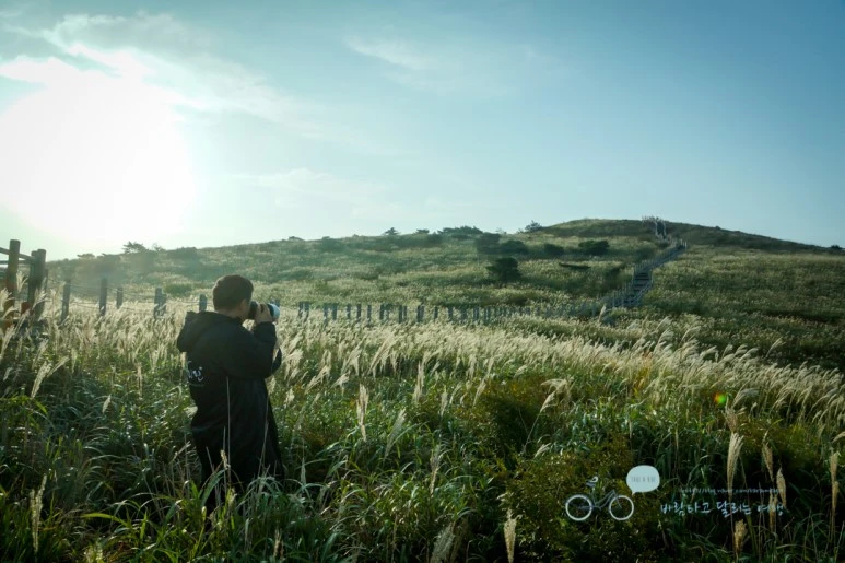 DSC04537_wide1080mark.jpg?type=w773