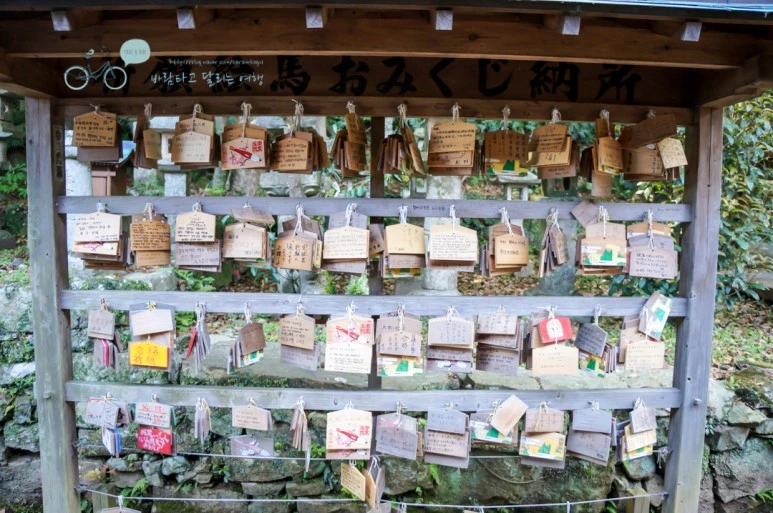 DSC07949_wide1080mark.jpg?type=w773