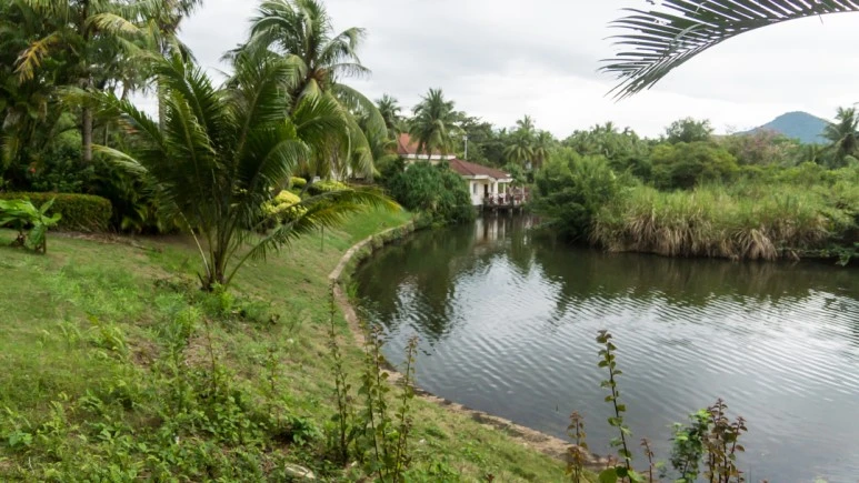 DSC05925_wide1080mark%EB%B0%94%EB%9E%8C.jpg?type=w773