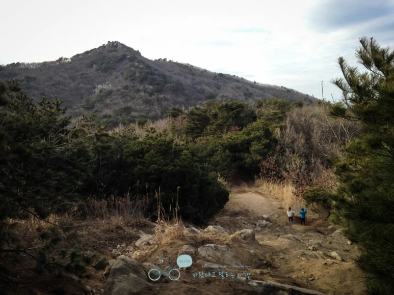 IMG_1577-_Wide1080mark.jpg?type=w773