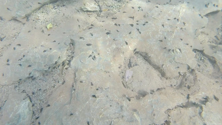 %EC%8A%A4%ED%81%AC%EB%A6%B0%EC%83%B7_2017-07-04_10.05.27.png?type=w773