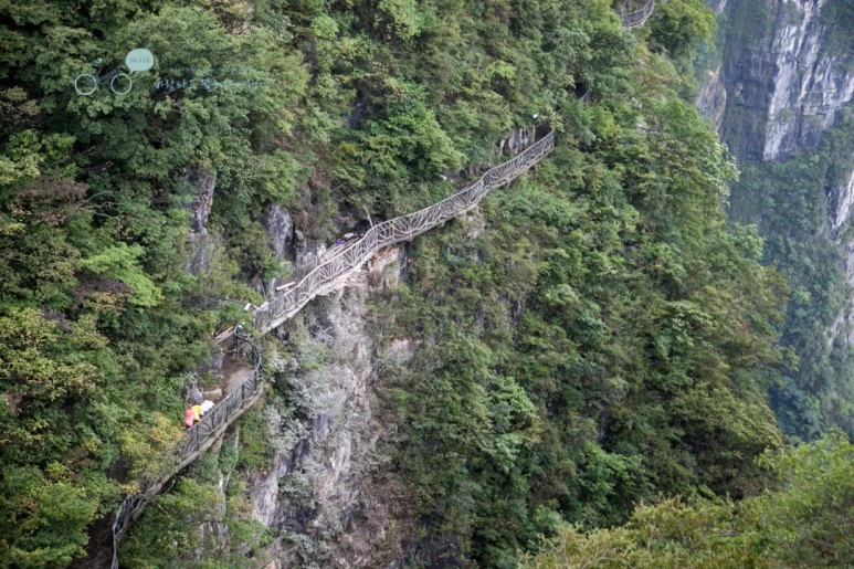 IMG_0355_Wide1080mark%EB%B0%94%EB%9E%8C.jpg?type=w773