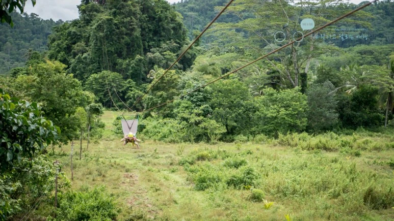 _1030099_Wide1080mark.jpg?type=w773