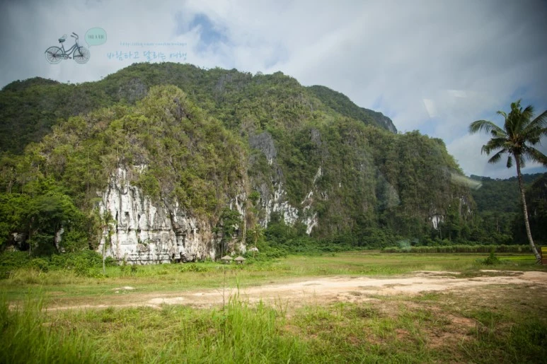 IMG_0570_Wide1080mark%EB%B0%94%EB%9E%8C%ED%83%80%EA%B3%A0.jpg?type=w773