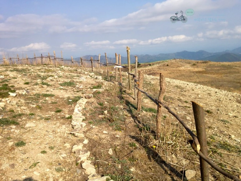 IMG_2078_Wide1080mark%EB%B0%94%EB%9E%8C.jpg?type=w773