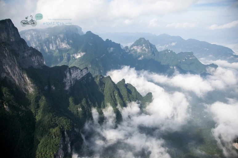 IMG_0160_Wide1080mark%EB%B0%94%EB%9E%8C.jpg?type=w773