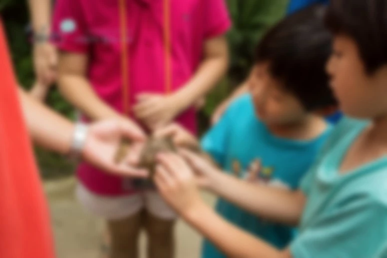 image_4810056861479110783740.jpg?type=w773