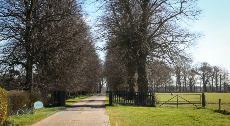 IMG_3548.jpg?type=w773