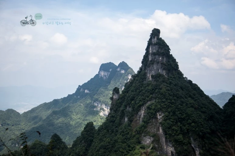 IMG_0565_Wide1080mark%EB%B0%94%EB%9E%8C.jpg?type=w773