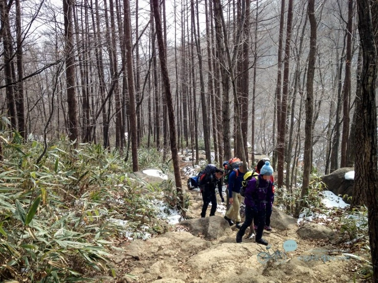 image_949816901477873186834.jpg?type=w773