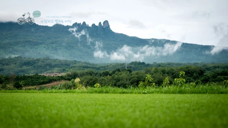 _1010126_wide1080_Wide1080mark_%EB%B0%94%EB%9E%8C.jpg?type=w773