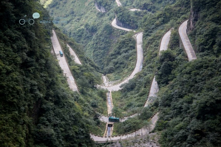 IMG_0536_Wide1080mark%EB%B0%94%EB%9E%8C.jpg?type=w773