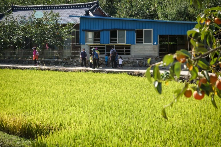 DSC04972_wide1080mark.jpg?type=w773