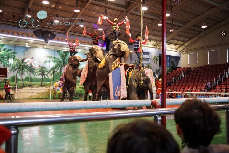 DSC00169_5.jpg?type=w773