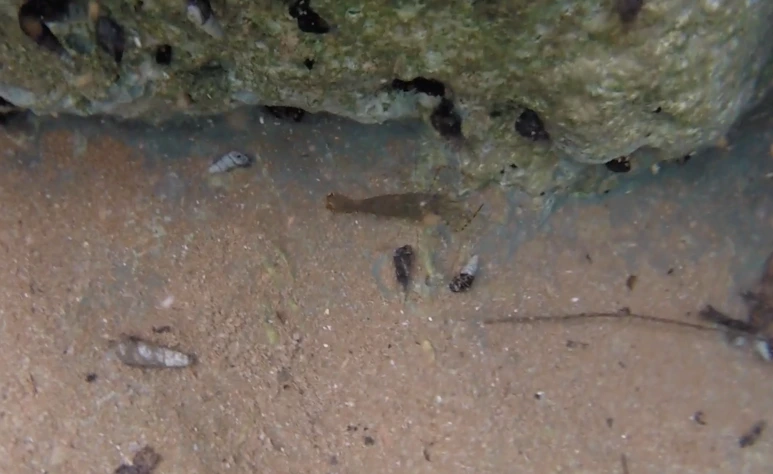 %EC%8A%A4%ED%81%AC%EB%A6%B0%EC%83%B7_2017-07-04_10.16.54.png?type=w773