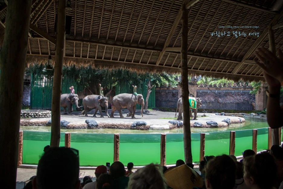 5D_IMG_2611_Short1200mark%EB%B0%94%EB%9E%8C.jpg?type=w1