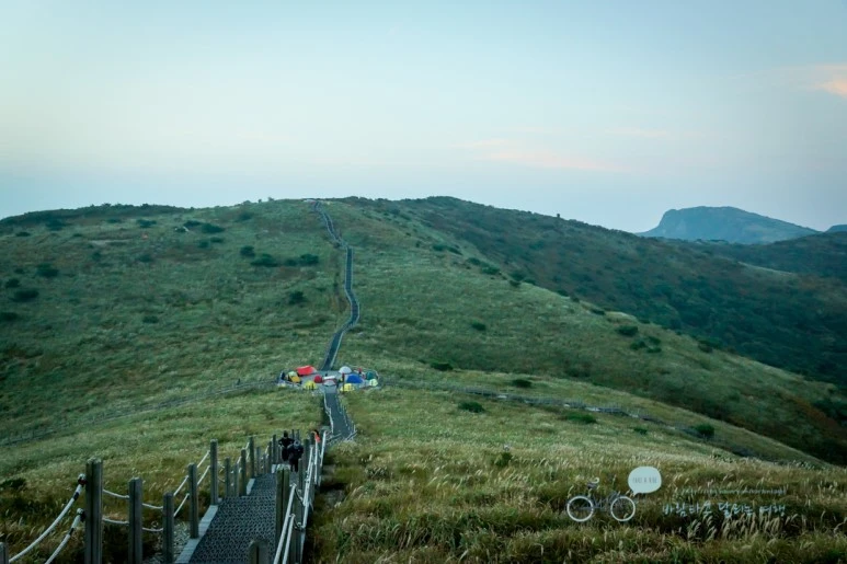 DSC04448_wide1080mark.jpg?type=w773