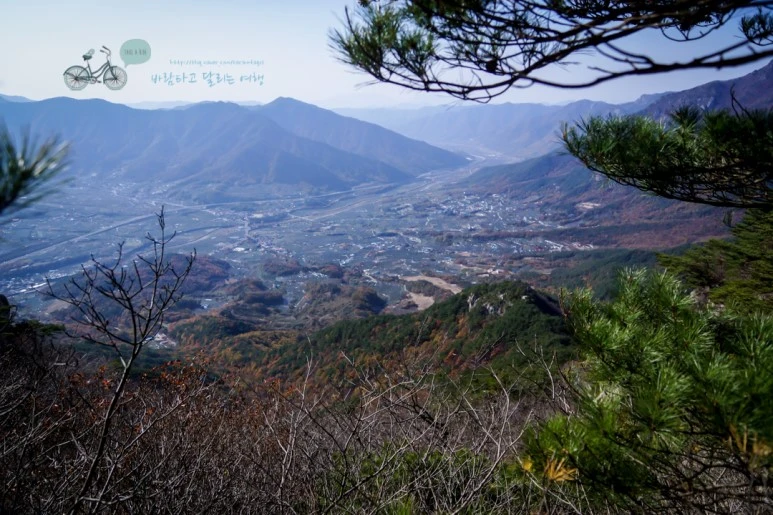 DSC06005_wide1080mark.jpg?type=w773