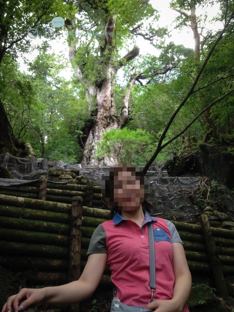 image_4760371311486451684820.jpg?type=w773