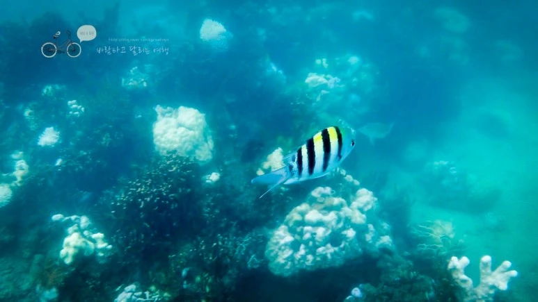 IMG_21_Wide1080mark%EB%B0%94%EB%9E%8C%ED%83%80%EA%B3%A0.jpg?type=w773