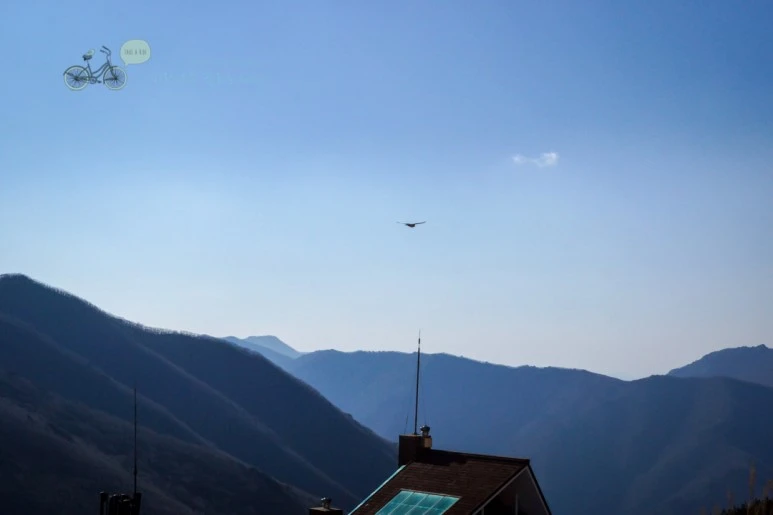 DSC04506_wide1080mark.jpg?type=w773